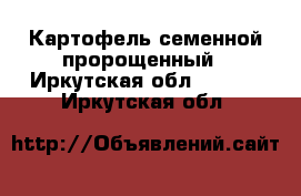 Картофель семенной пророщенный - Иркутская обл.  »    . Иркутская обл.